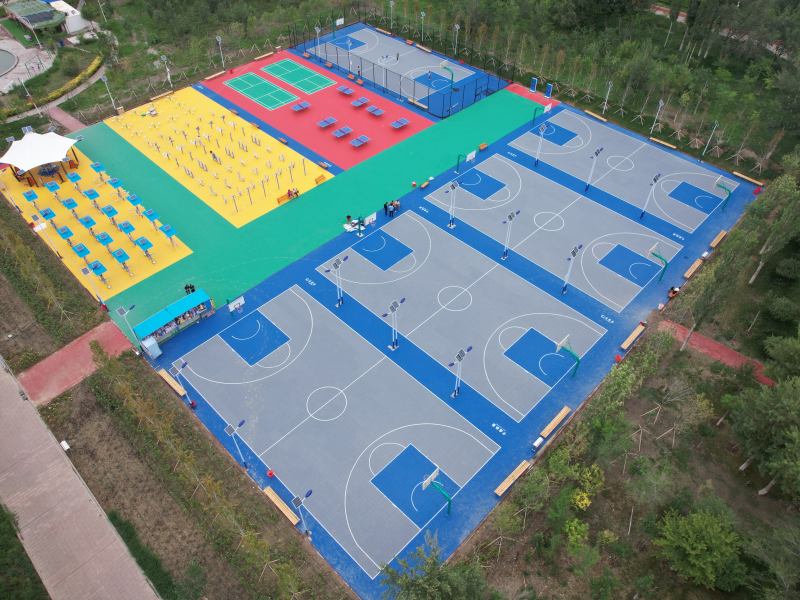Home Basketball 15